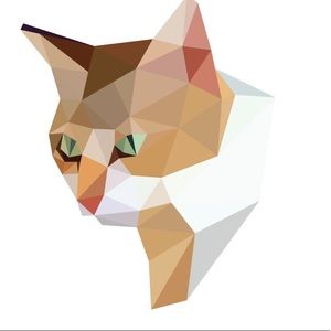 Meet your Posher, Liren